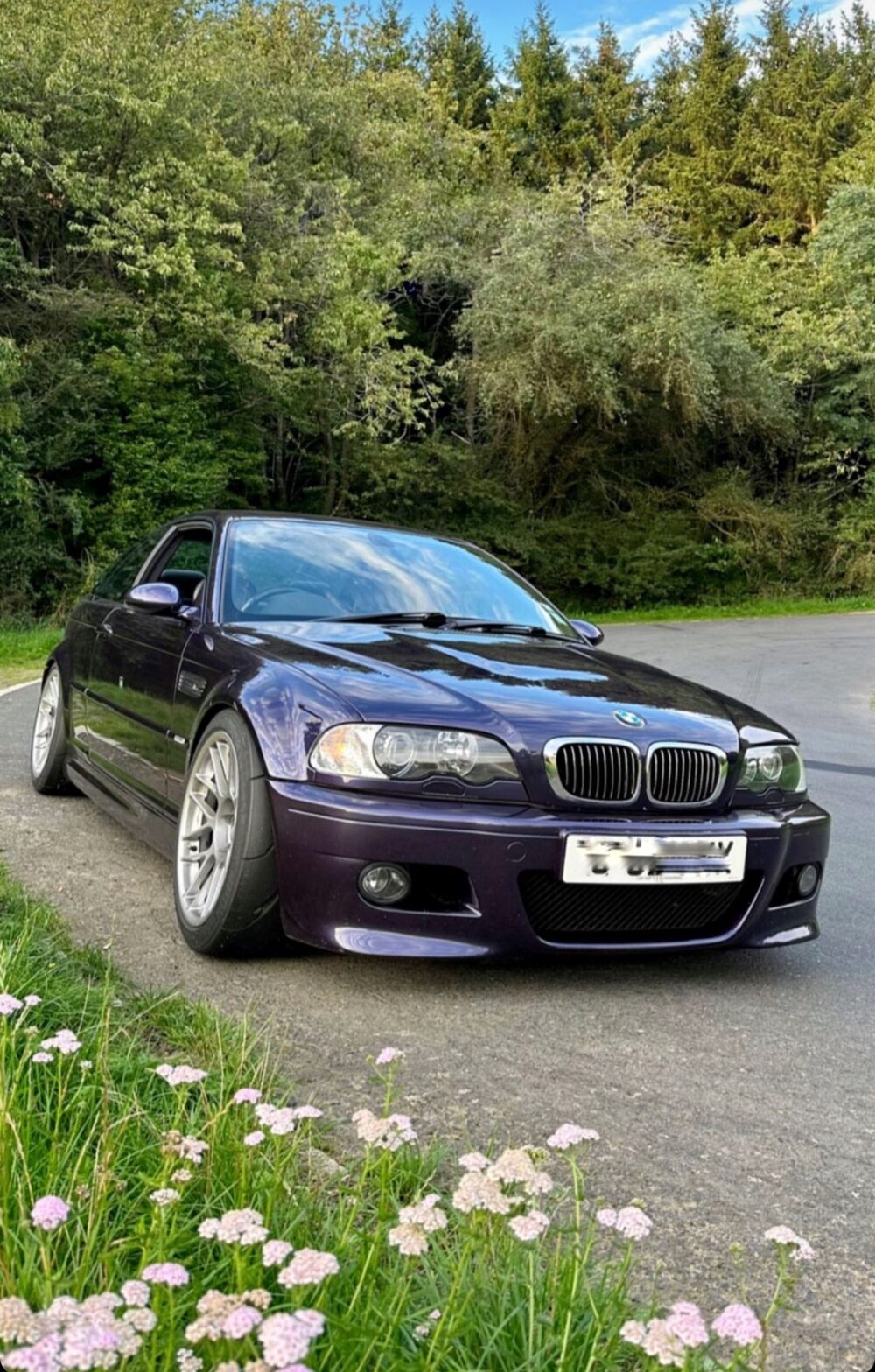 YBT M3 E46/Z3M/Z4M caliper bracket pack + CUSTOM FLEXIBLES Brembo 4